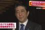 安倍首相の真珠湾訪問に中国ネット「南京に来てひざまずけ」「国家哀悼日の13日はもうすぐだ」！