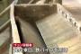 神社で石像壊した無職韓国人のチョンスンホ容疑者、所持品に鉄パイプ