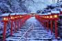 海外「京都で一番行ってみたいところ！」京都の由緒ある神社に外国人感動（海外反応）