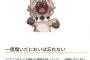 【悲報】ポケモンカード、悪意ある配置をされる