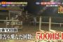 【欅坂46】1/14放送『炎の体育会TV』菅井友香が初の障害馬術に挑戦！実況、まとめ 後編