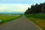 空いてる田舎道でノロノロとど真ん中走る車ってなんなの？普通に左の方走ってたらサッと抜けるのに…