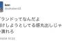 【悲報】レゴランドさん、叩かれ過ぎてついにトンデモない所まで批判されるｗｗｗｗ