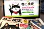 猫に関する知識を問う「第１回ねこ検定」を全国５都市で開催　受検料など収益金の一部は保護団体に寄付