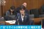民進党「北朝鮮のﾐｻｲﾙを本当に撃ち落とせるのかイエスかノーで答えて下さい」稲田「可能です」（白目）