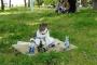 【画像】猫さん、一人酒ですか？