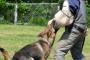 おっ　警察犬ってちゃんと対象の足を踏んでるんだな。