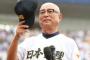 新潟大会は日本文理が6-4で中越を下し、3年ぶり9度目の甲子園出場