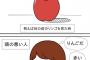 【画像】これが、頭が良い人と悪い人の物の見方の違い