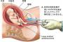 【悲報】バカ男「中絶しようよ！」　女性「嫌だ！」　医者「..........」ﾊｻﾐｼﾞｬｷﾝｼﾞｬｷﾝ【画像】