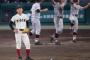 今年の甲子園って面白かったか？