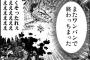 主人公が全く苦戦しない漫画求むｗｗｗｗｗ（画像あり）