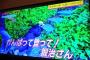 Eテレの障害者情報バラエティー”バリバラ”、去年に引き続き今年も24時間テレビを盛大にディスるｗｗｗｗｗｗ