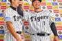 鳥谷敬さんの2000本安打達成後のインタビューｗｗｗｗｗｗｗｗｗｗｗｗｗｗｗｗ