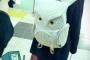 【画像】最近女子学生の間でこんなカバンが流行ってるらしい・・・