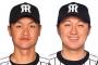 阪神大和、日本シリーズ終了後に正式にＦＡ宣言する事が濃厚にwwwwwwwwwなお俊介は残留見通し