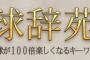 球辞苑で取り上げて欲しいテーマｗｗｗｗｗｗｗｗｗｗｗ