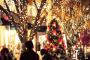 知人に紹介された人と全く進展がない。もうすぐクリスマスなんだがどうしたらいいんだろう？