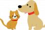 【悲報】動物慈善団体が明かした「飼い主が犬を手放す理由」がとんでもない・・・