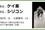 【悲報】メディアさん、次はケイ素水を流行らせようとしてしまう・・・