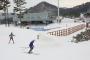 【平昌五輪】クロスカントリーも南北合同チームを模索へｗｗｗｗｗｗｗｗｗｗｗｗ