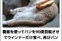 boketeの長文ボケはつまらないとかいうアホみたいな固定概念