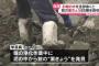 福岡県「池の水ぜんぶ抜く」 →中から銃の薬莢（使用済み）が８５個見つかる 	