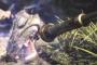 【MHW】心眼って主に何の武器で使うの？【モンハンワールド】