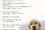 犬「私をたたかないで。本気になったら私の方が強い事を忘れないでください」