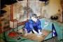 韓国人「日本の江戸時代に行われていた風習が恐ろしすぎる件」