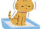 ネコ飼ってる奴に聞きたいんやが、ちゃんといい子にトイレでするんか？ 	