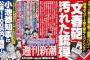 週刊新潮の広告見出し『小池都知事は公金1100万円を横領した』は名誉毀損 小池氏が勝訴 ⇒ 新潮編集部「記事読めば小池氏でないと分かる。控訴検討」