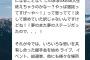 【AKB48】チーム8岡部麟「岡部が選抜メンバーになったのはうんたら～かんたら～って言われてめっちゃ悔しいので色んな人に認めてもらえるようになりたい」【りんりん】
