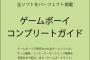 「ゲームボーイコンプリートガイド」予約開始！320ページの大ボリュームでお届け