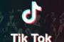 TikTokで初めて爆笑した動画見てｗｗｗｗｗ(※動画あり)