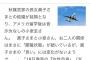 眞子さま、小室圭さんを追いかけて渡米。これもうダメだろ。。。（※画像あり）