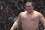 白鵬8-0 鶴竜2-4-2 稀勢の里0-4引退