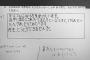 父親からのいじめ訴えるアンケートを野田市教委が父親本人に渡す(海外の反応)