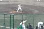 【悲報】阿部慎之助さんの肩、ガチで超絶劣化【動画あり】