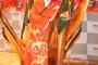 【画像あり】紅白出場演歌歌手・丘みどり、高畑充希と間違われた