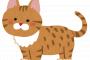 【画像あり】猫とハイタッチできる作品が可愛すぎるｗｗｗｗｗｗｗｗｗｗｗ