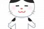 【画像あり】前世が豆大福だったと推測される猫がコチラｗｗｗｗｗｗｗ