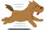 右フック犬のフィギュア完成するｗｗｗｗｗ（画像あり）