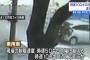 【８７歳池袋暴走】時速１００キロ近くで走行か