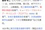 池袋事件の犯人じいさん、Wikipediaでボロクソ書かれる