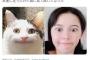玉城ティナ、ネットで話題の「猫写真」を完コピした結果ｗｗｗｗｗｗｗｗｗｗｗ