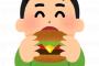 【驚愕】日本全国で「好きなハンバーガー屋」を聞いた結果ｗｗｗｗｗｗｗ