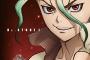 【Dr.STONE(ドクターストーン)】9話感想 電気ゲットだぜ