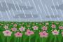 【大雨】千葉テレビさん、泣いてしまう・・・・・
