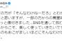 【AKB48】峯岸みなみちゃんが一般人にも嫌われまくっていて悲しい